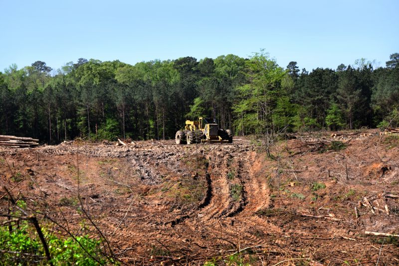 Hill Clearing in Cumming, GA
