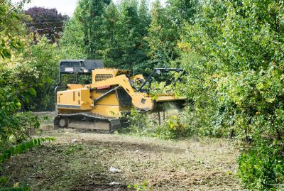 Acreage Clearing in Utah County, UT