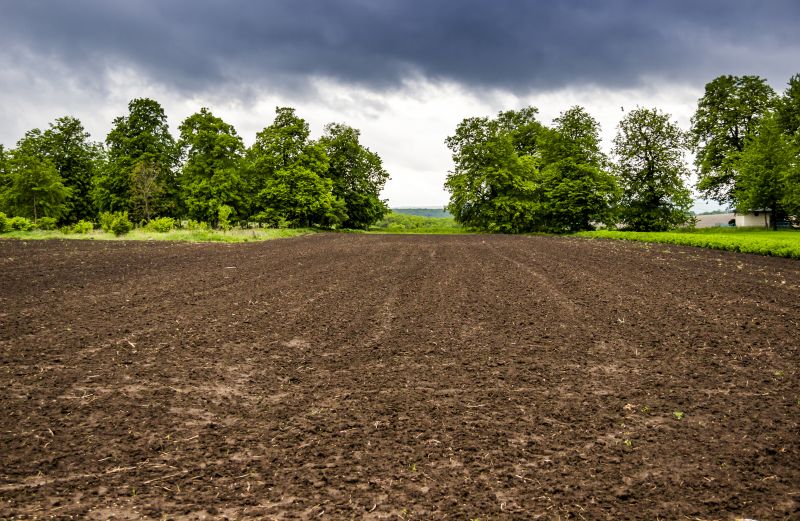 Field Clearing in Gwinnett County, GA