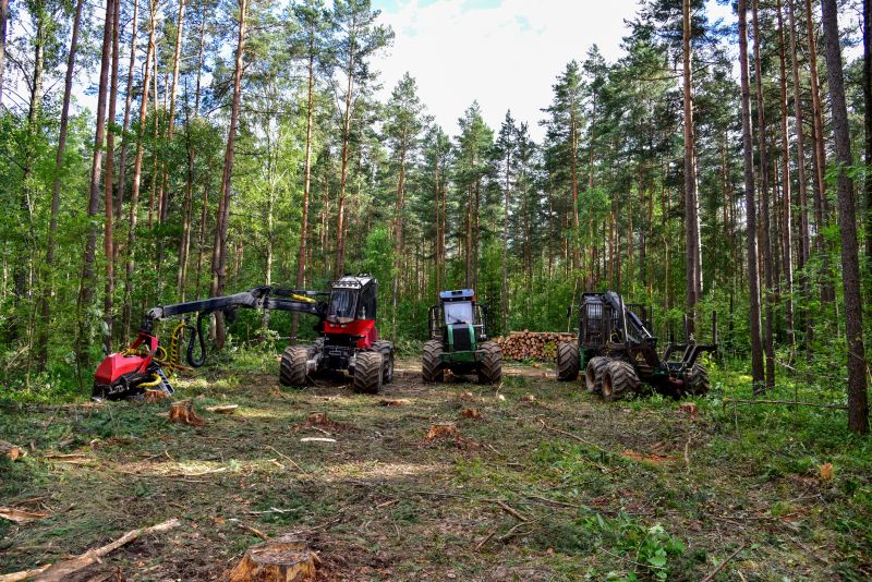 Forestry Clearing in Cumming, GA