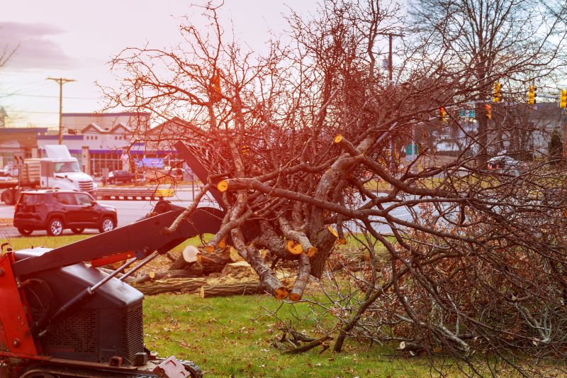 Land Clearing in Gwinnett County, GA