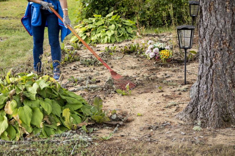 Land Preparation Service in Cumming, GA