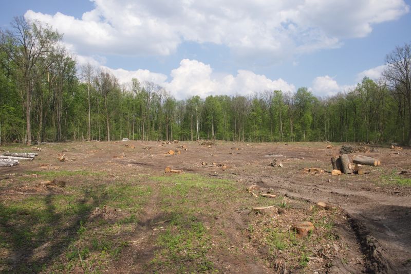 Terrain Clearing in Gwinnett County, GA