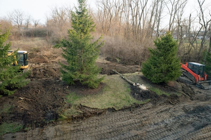 Undergrowth Removal in Gwinnett County, GA